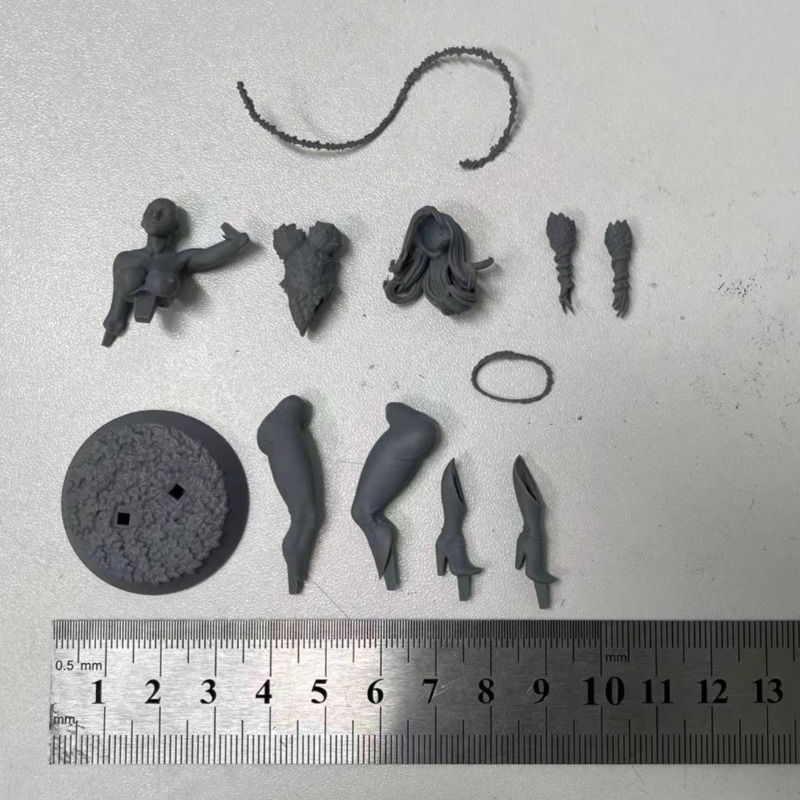Масштаб 1/24, лесная королева, – обзор и цена Science Hobby Kit